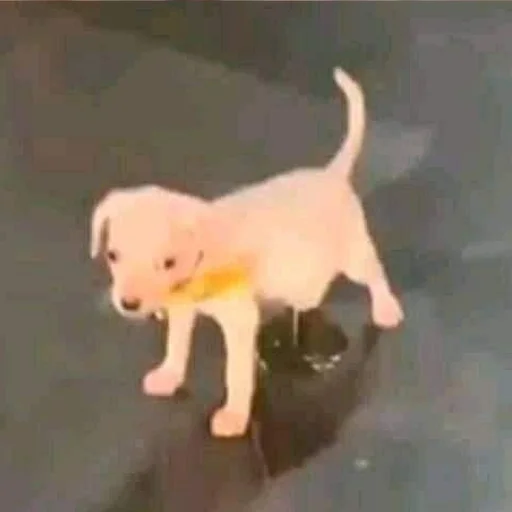 Sticker Стикер пак от @Velgit_woh - 3