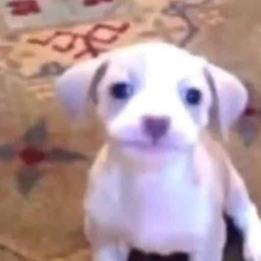 Sticker Стикер пак от @Velgit_woh - 1