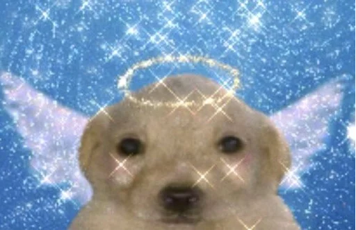 Sticker Стикер пак от @Velgit_woh - 0