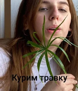 Sticker Избранные • @sticbot - 9