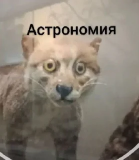 Sticker Избранные • @sticbot - 11