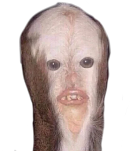 clothing sketch cheek