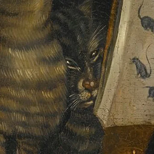 felidae small to medium-sized cats domestic cat