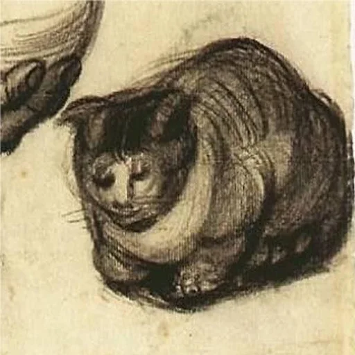 animal mammal sketch