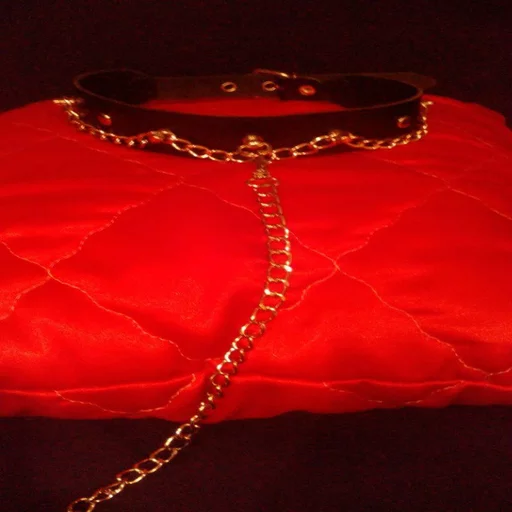 fashion accessory red necklace