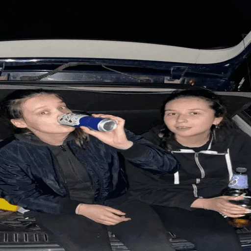 Стикер Vesel4ak - 1