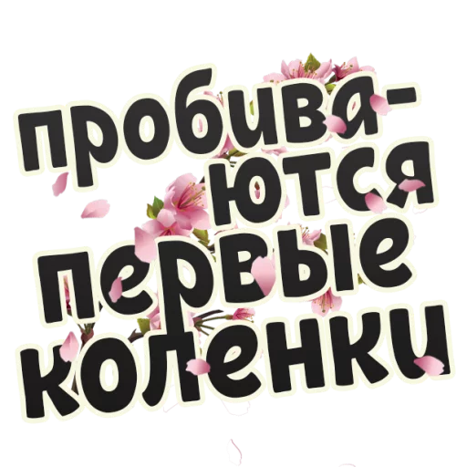 text font flower