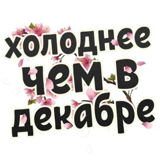 text font typography