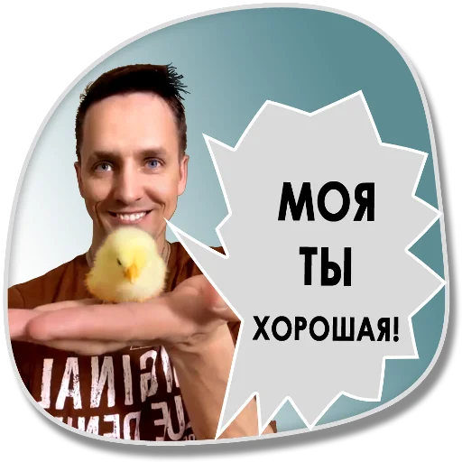 Sticker Veydi_rush_official - 1