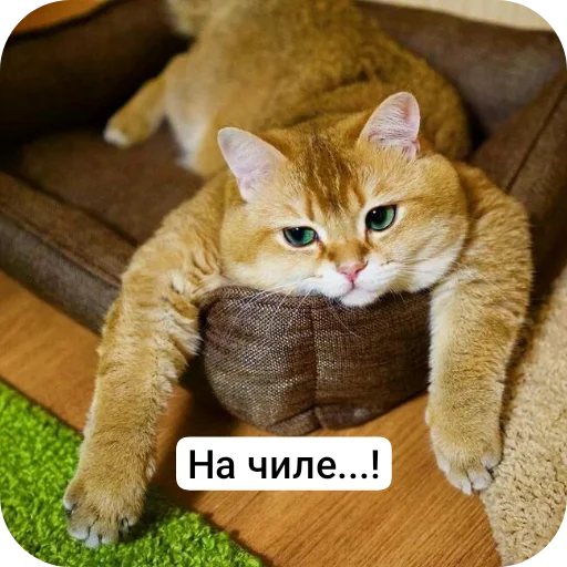 Стикер Vhaah1 - 1