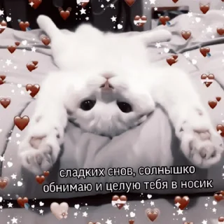 Sticker .°🐚˳• ࣪. V ::
@MINTIEXZ - 11