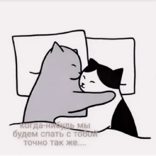 Sticker .°🐚˳• ࣪. V ::
@MINTIEXZ - 8