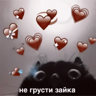 Sticker .°🐚˳• ࣪. V ::
@MINTIEXZ - 6