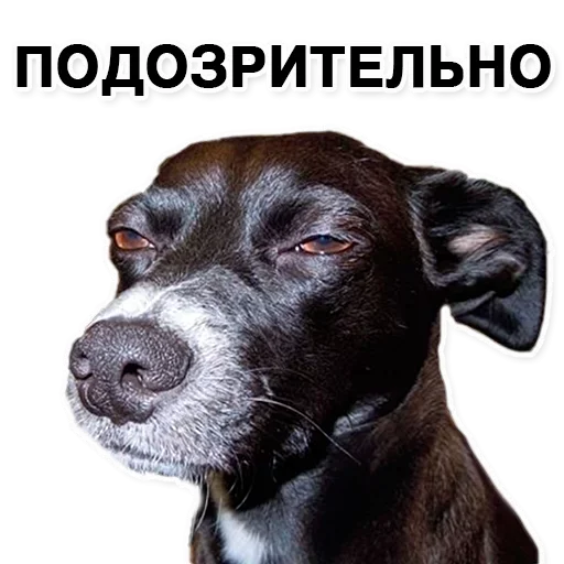 Стикер Stitch_by_Disney - 1