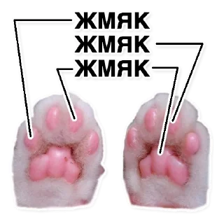 Sticker Insane @stickersb2b - 9