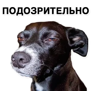 Sticker Stitch by Disney - 5