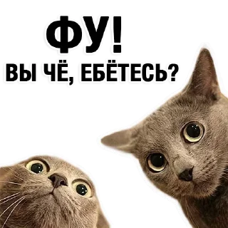 Sticker Stitch by Disney - 6