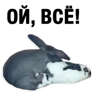 Sticker Stitch by Disney - 1