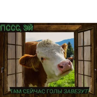 Стикер РУБИМ БАБЛО - 1