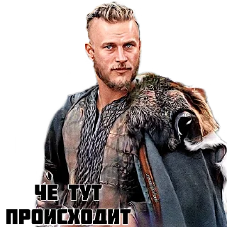 Sticker Викинг 🇦🇲 - 4