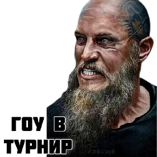 Sticker Викинг 🇦🇲 - 5