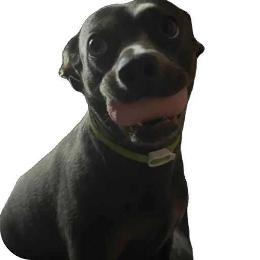 Стикер Vikos56 - 1