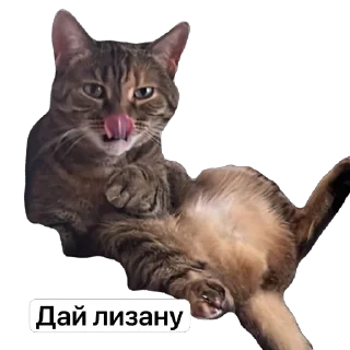 Sticker Викас - 2