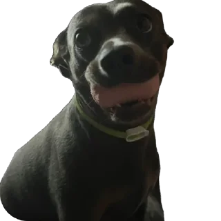 Sticker Викас - 4