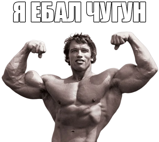 muscle chest bodybuilding