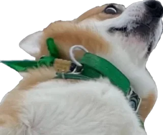 Sticker Юбилейный - 0