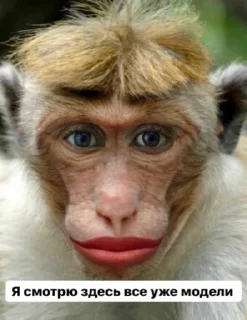 Sticker Юбилейный - 6