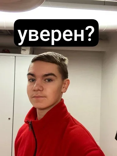 Sticker VilSticks - 1