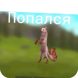 Стикер Вилдкрафт - 8