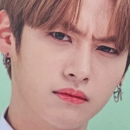 человеческое лицо Человек бровь