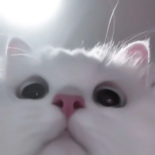 млекопитающее животное кошка