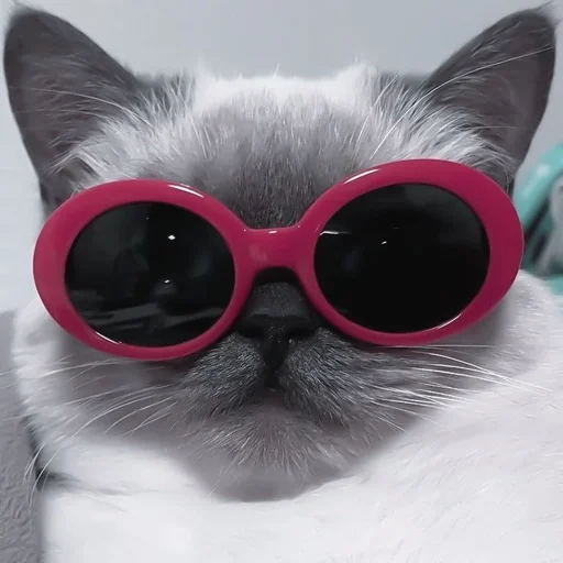 goggles eyewear accessory