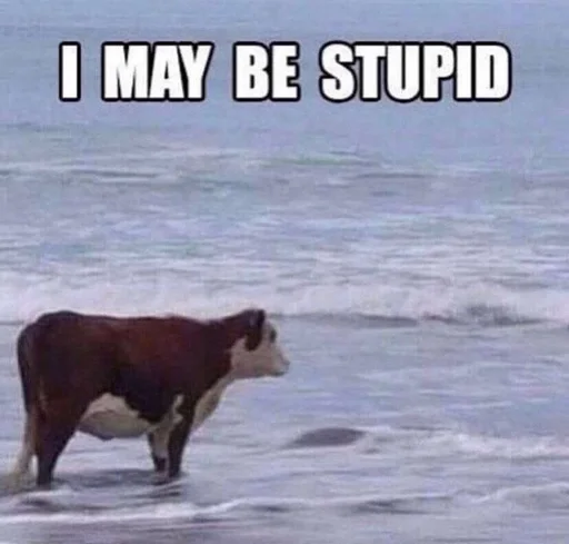 СМС млекопитающее животное