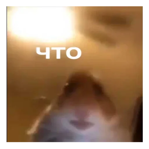 СМС скриншот Размыто