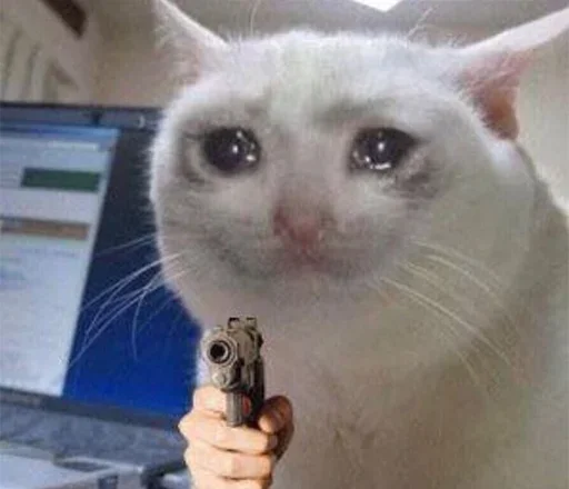 кошки малого и среднего размера домашняя кошка кошка