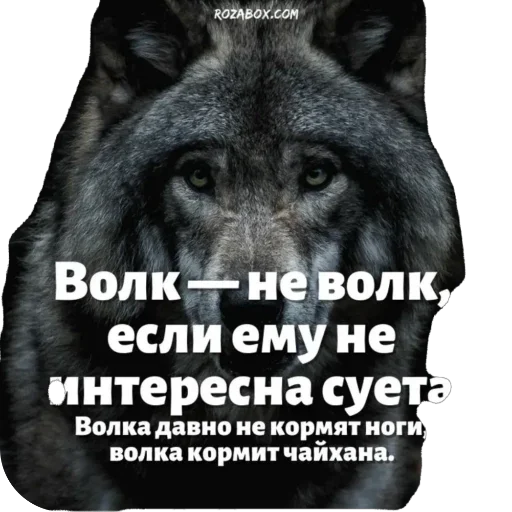 Sticker Vitaliy5Stars - 1