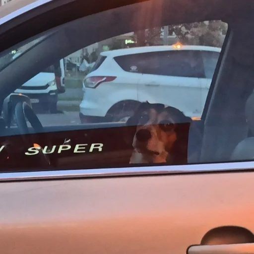 Sticker Vitallpro - 1