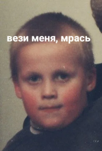 Стикер Vitallpro - 1