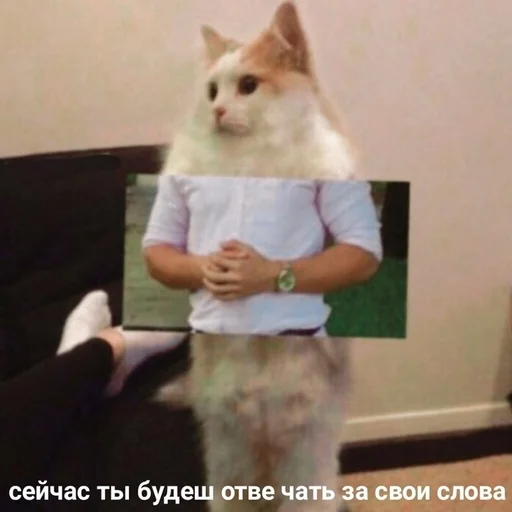 Sticker Vitaly_pack - 1