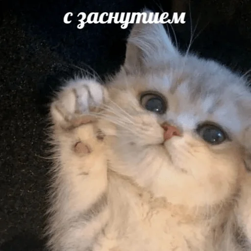 Sticker Vitaly_pack - 1