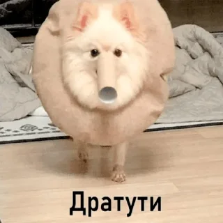 Sticker Vitaly pack - 11