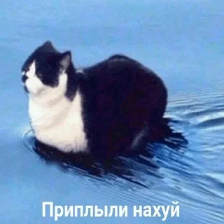 Sticker Vitaly pack - 5