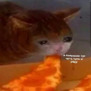 Sticker Vitaly pack - 10