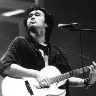 concert microphone musical instrument