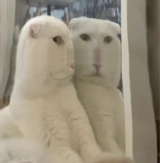 Sticker Стикерс2 - 5