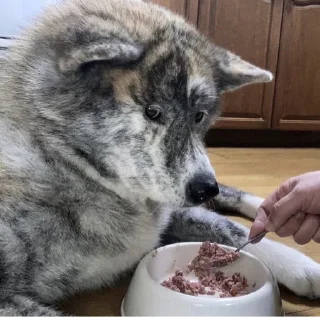 Sticker Стикерс2 - 6